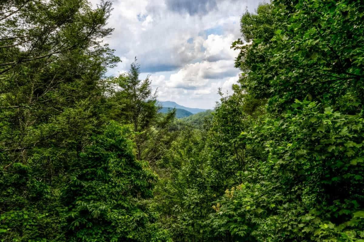 Nice View Fireplace, Hot Tub, Porch Bed, Private Sevierville Buitenkant foto
